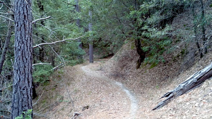 The Chimney Mountain Bike Trail